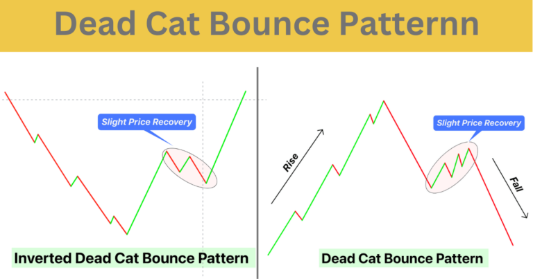 Stock Market Recovery or Just a Dead Cat Bounce? A Deep Dive into Market Trends